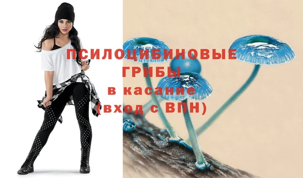 прущие крисы Елабуга