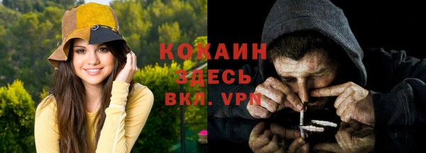 гидра Ельня