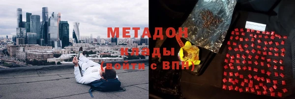 гидра Ельня