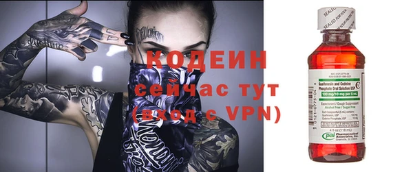 гидра Ельня