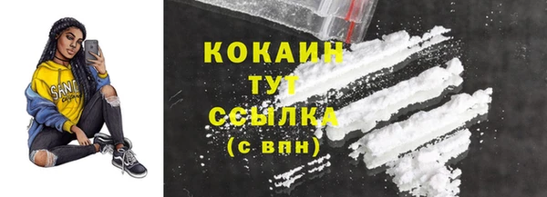 гидра Ельня