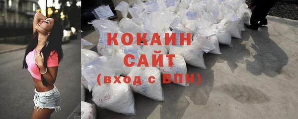 гидра Ельня