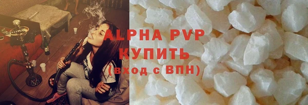 гидра Ельня