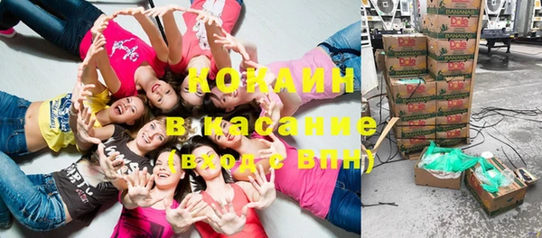 гидра Ельня