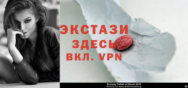 гидра Ельня