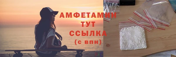 гидра Ельня