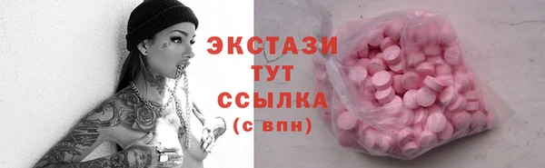 гидра Ельня