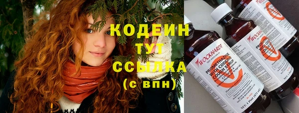прущие крисы Елабуга