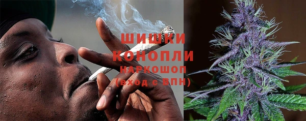 гидра Ельня