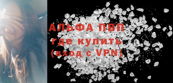 гидра Ельня