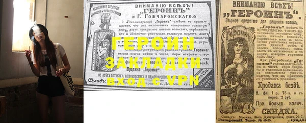 гидра Ельня