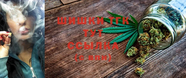 гидра Ельня