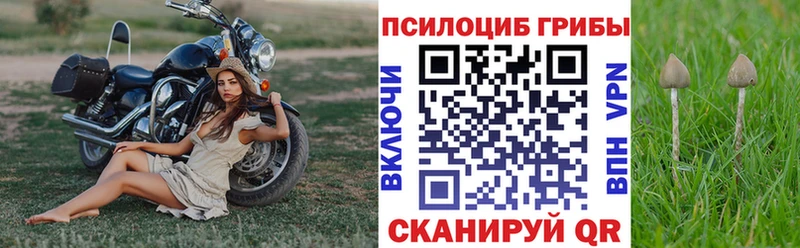 Псилоцибиновые грибы мухоморы  Купить где  Ейск 